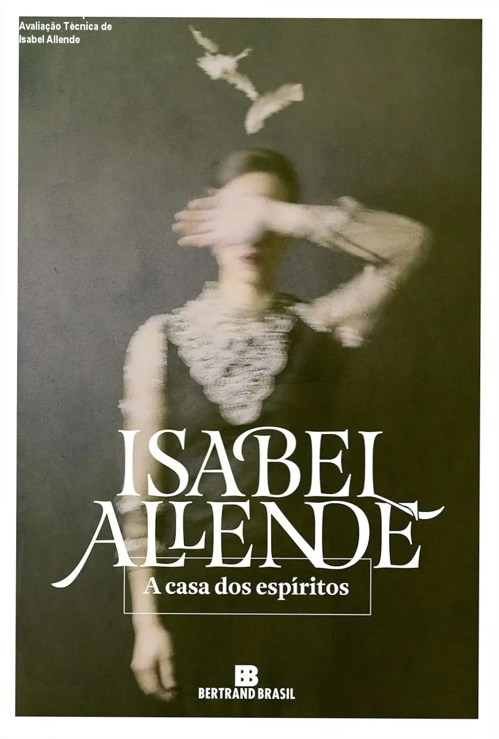 Isabel Allende análise completa de A Casa dos Espíritos