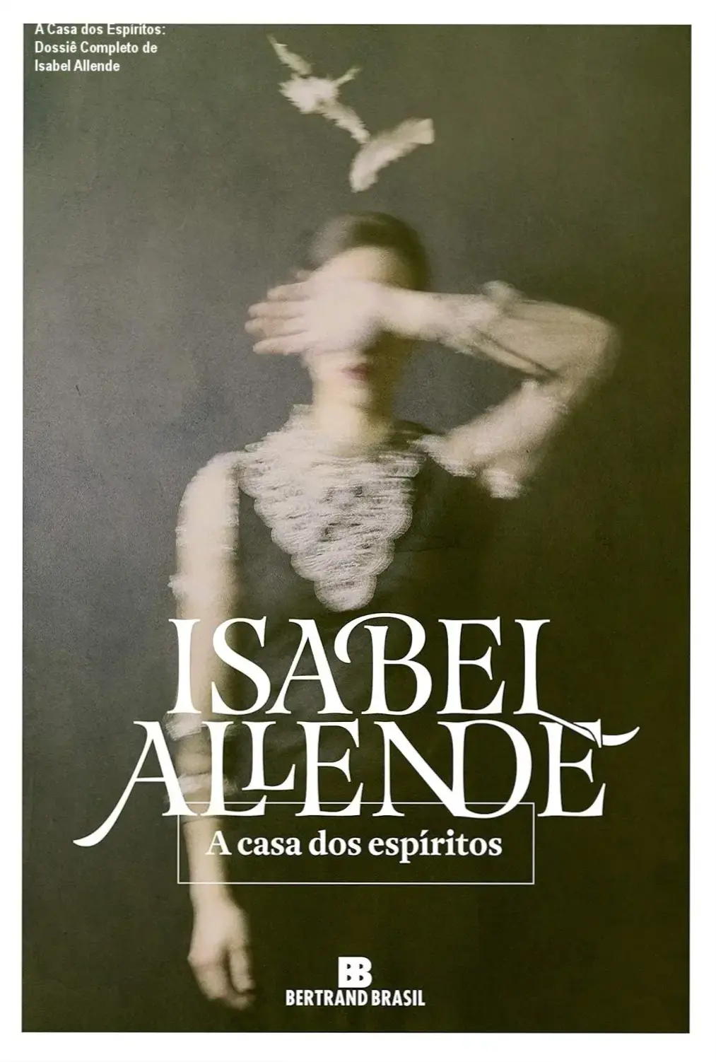 Isabel Allende – análise completa de A Casa dos Espíritos