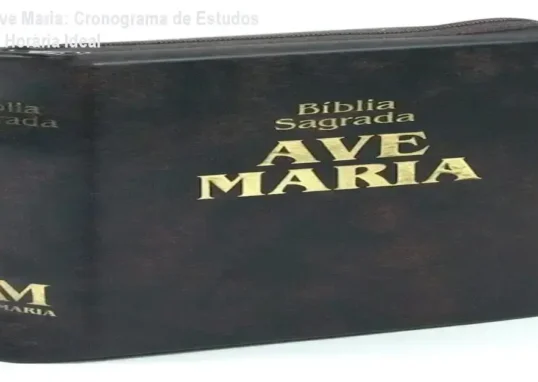 Bíblia Sagrada Ave Maria – cronograma de estudos e carga horária