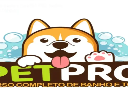 Curso de Banho e Tosa PET PRO da WebHoje – bastidores e funcionamento interno