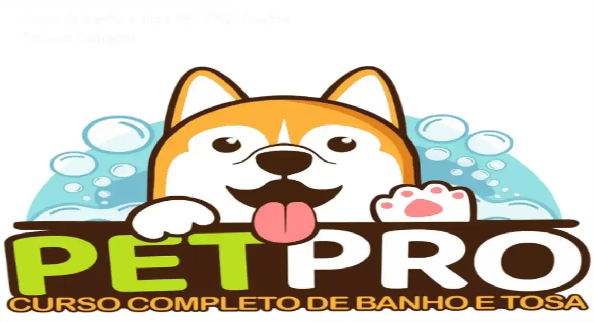 Curso de Banho e Tosa PET PRO da WebHoje – bastidores e funcionamento interno