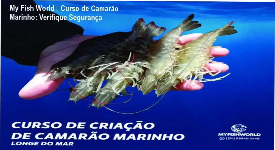 My Fish World – Curso de Camarão Marinho – reputação, segurança e risco de fraude