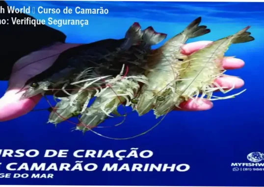 My Fish World – Curso de Camarão Marinho – reputação, segurança e risco de fraude