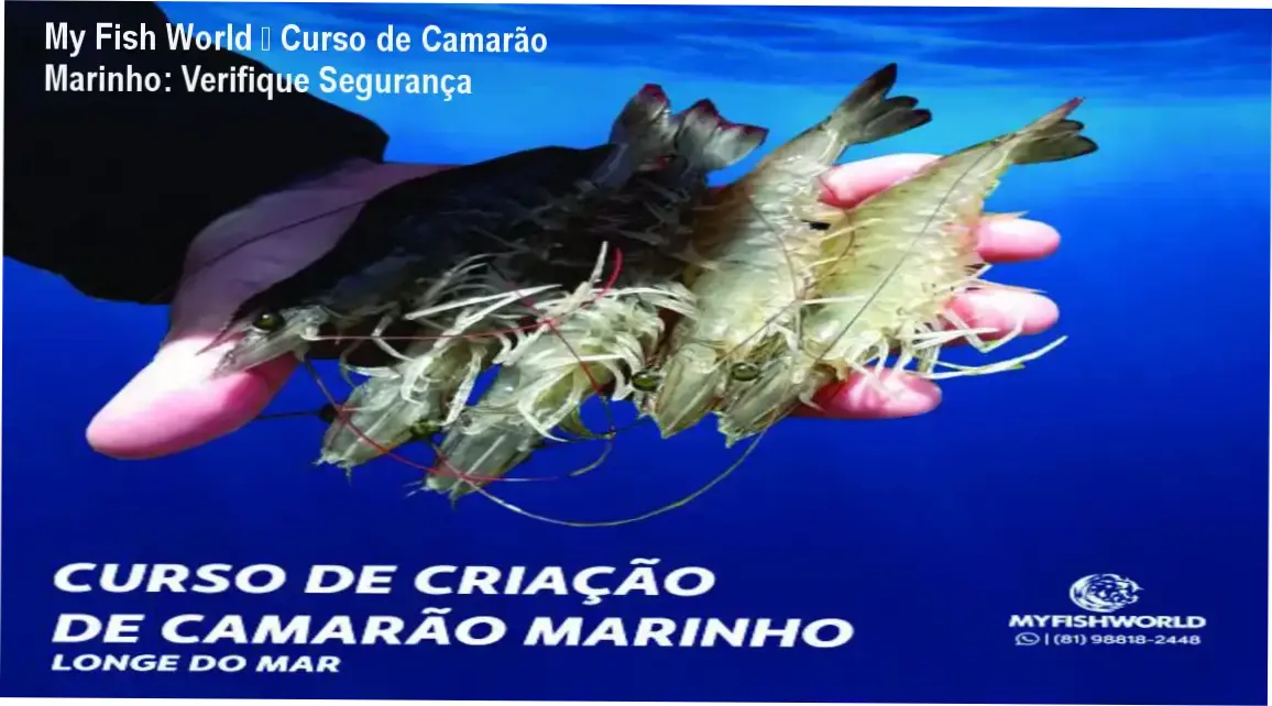 My Fish World – Curso de Camarão Marinho – reputação, segurança e risco de fraude