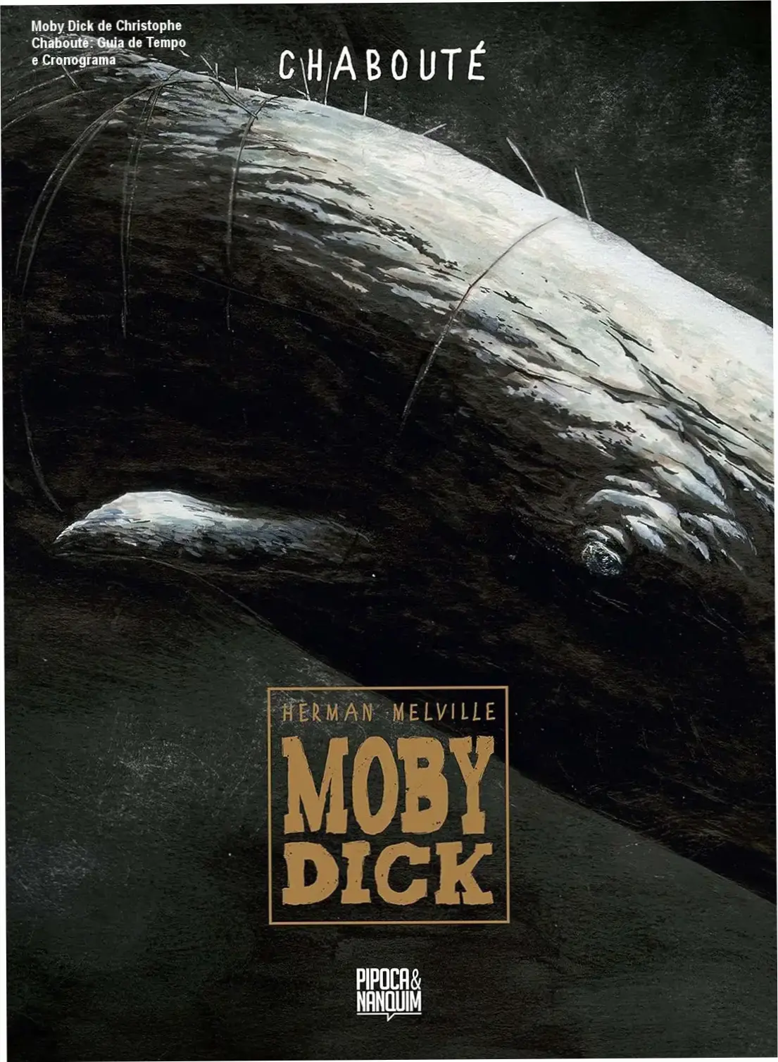 Moby Dick de Christophe Chabouté – cronograma e carga horária de leitura