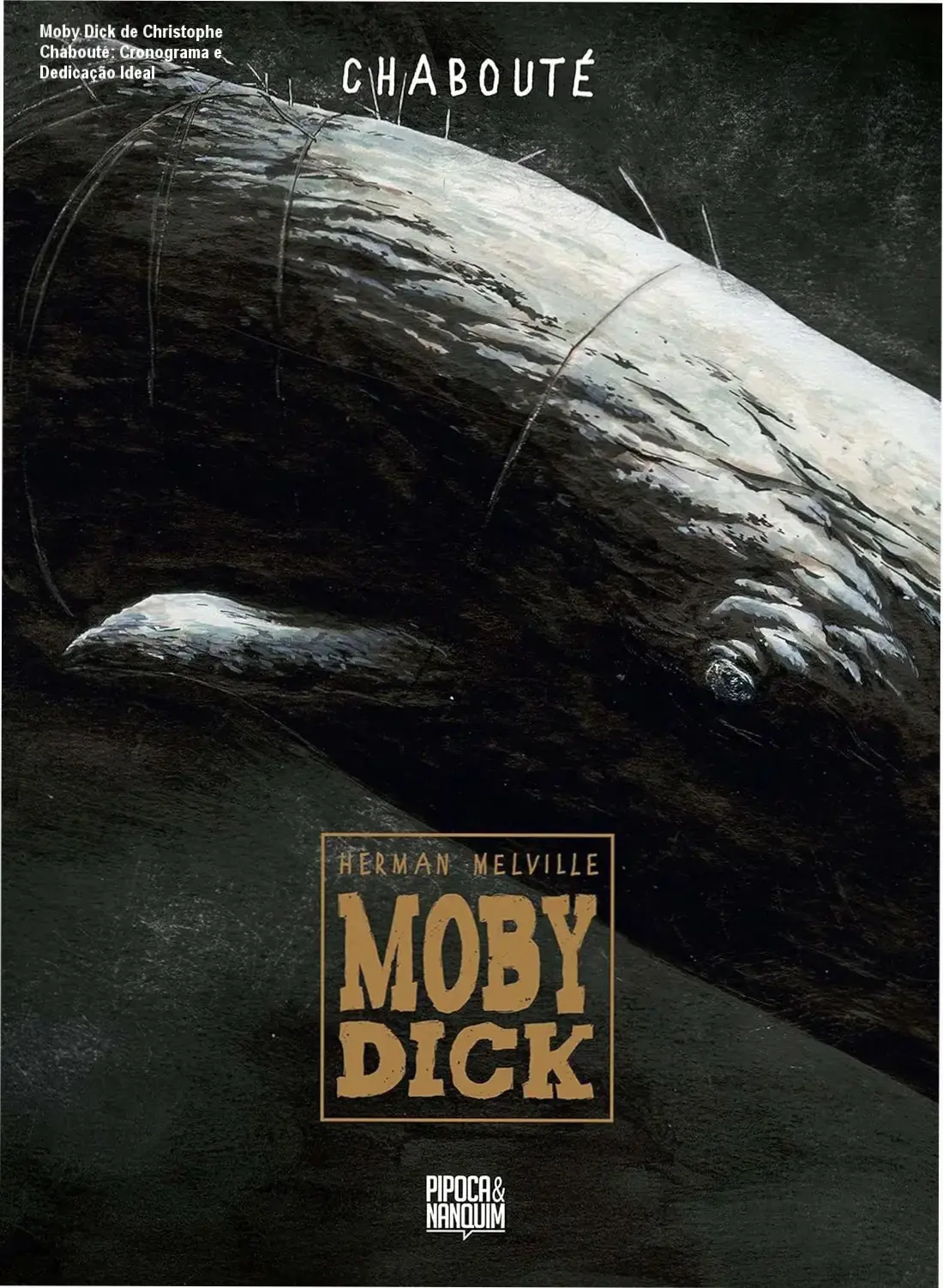 Moby Dick Christophe Chabouté cronograma de leitura e dedicação necessária