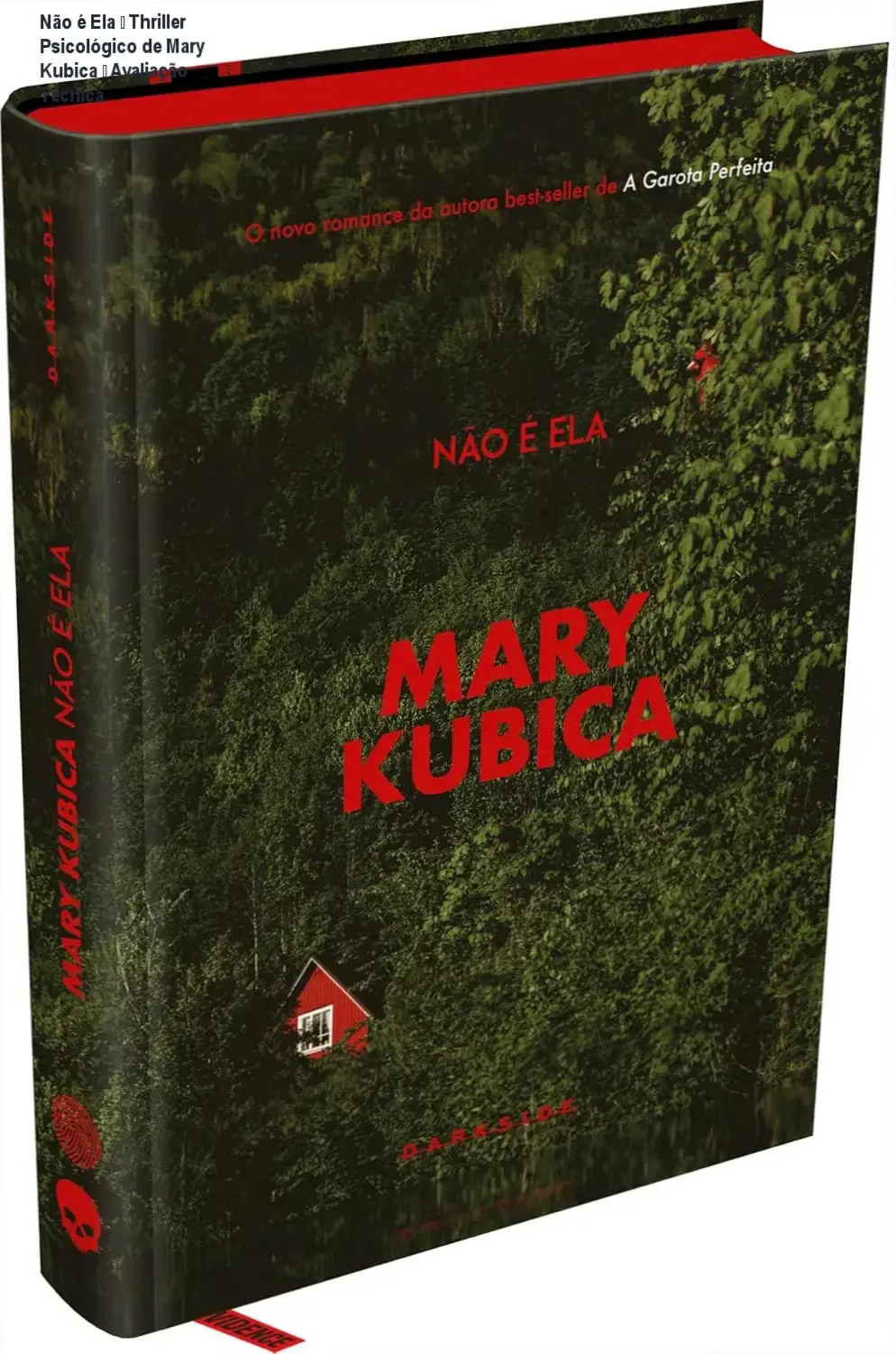 Capa do livro 'Não é Ela' de Mary Kubica, thriller psicológico em capa dura