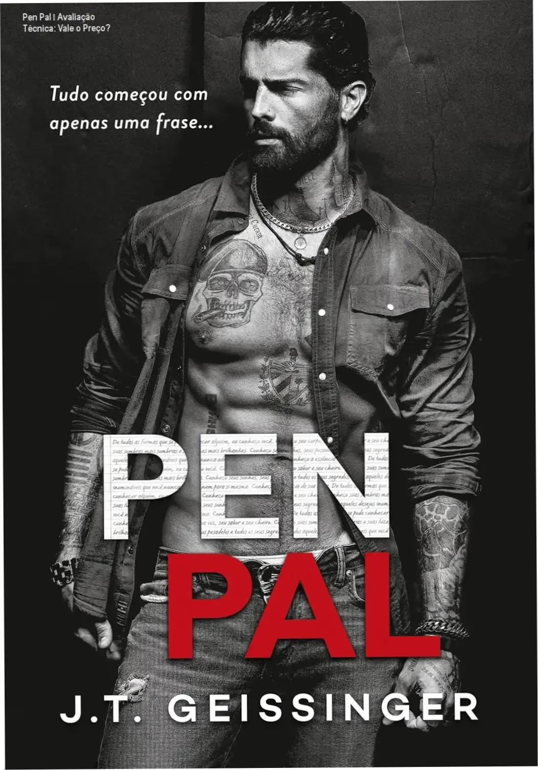 Pen Pal de J. T. Geissinger + garantia de devolução