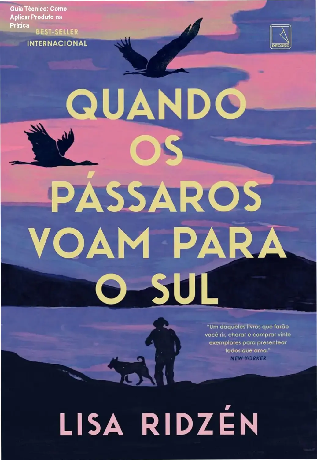 Ilustração passo a passo sobre a aplicação prática do Produto