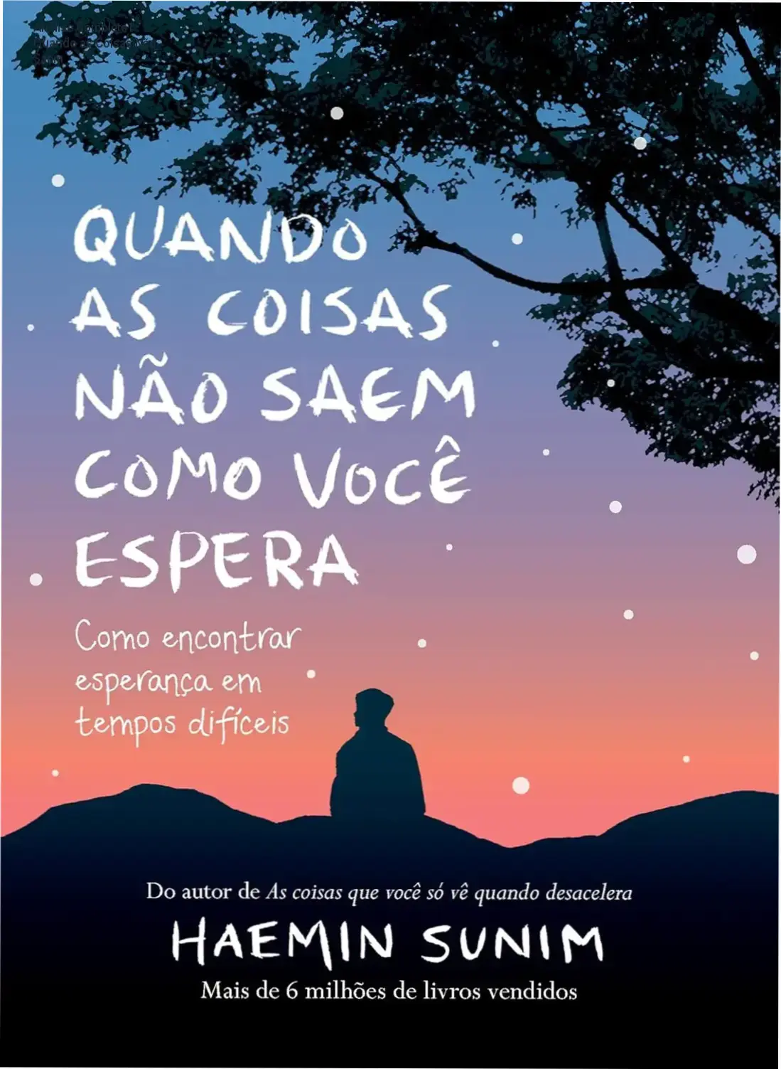 Quando as Coisas Não Saem Como Você Espera de Haemi Sunim – bastidores e visão interna
