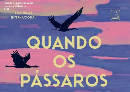 Livro Quando os pássaros voam para o sul de Lisa Ridzén – oferta e desconto