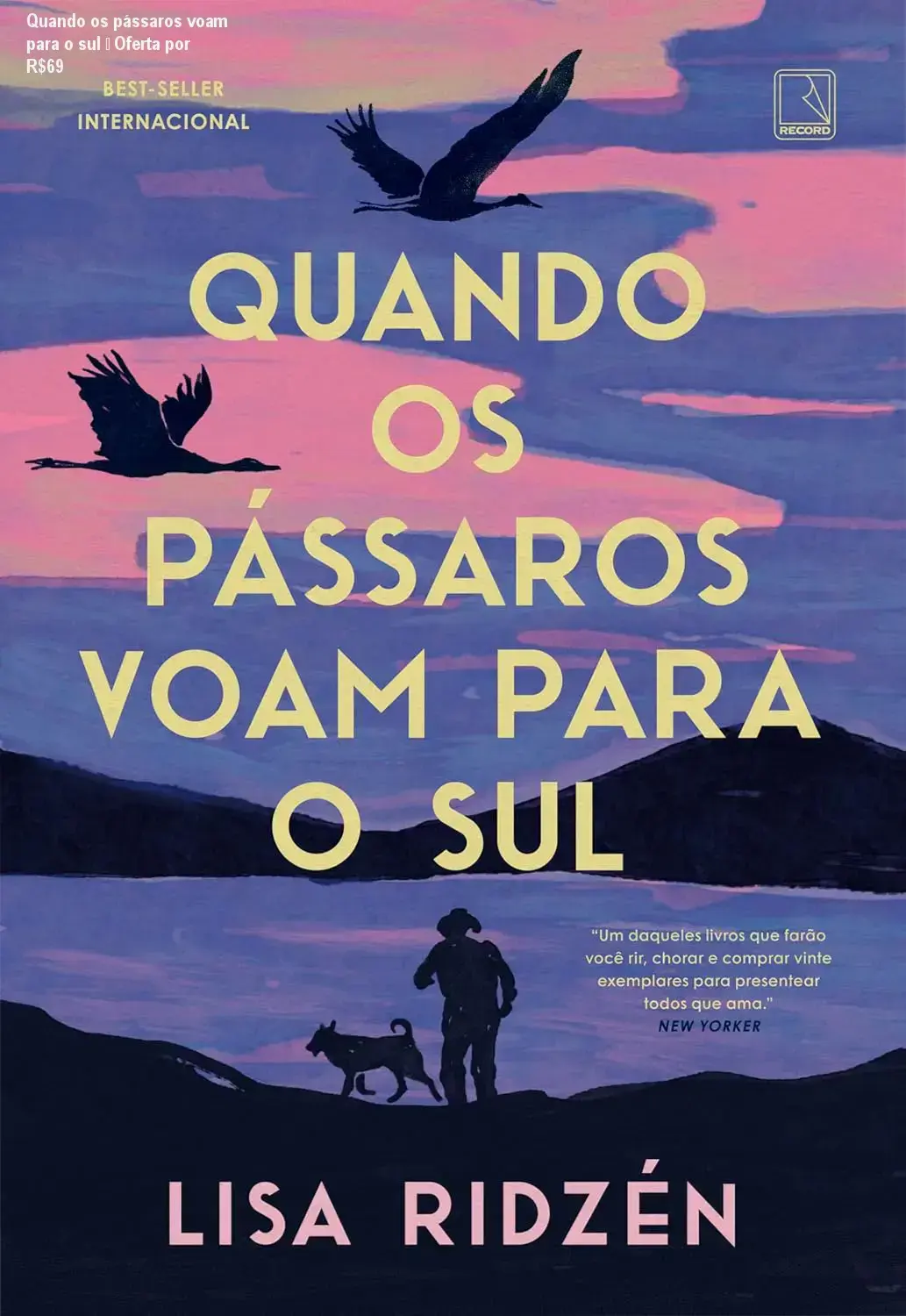 Livro Quando os pássaros voam para o sul de Lisa Ridzén – oferta e desconto