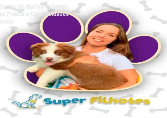 Super Filhotes Marina Volanski carreira e aplicação prática