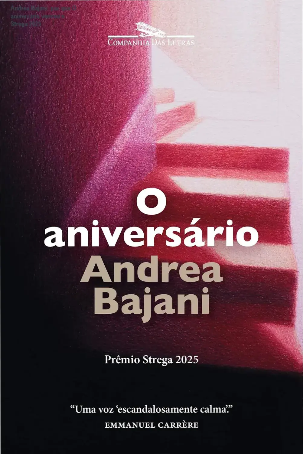 Capa do livro O aniversário de Andrea Bajani com arte de Mariana Metidieri