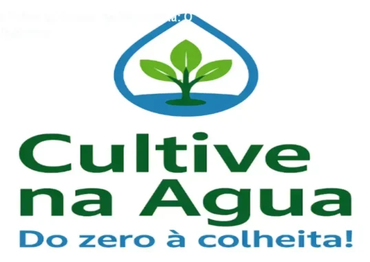 Bruno Palma – Cultive na Água comparado a concorrentes e alternativas de hidroponia