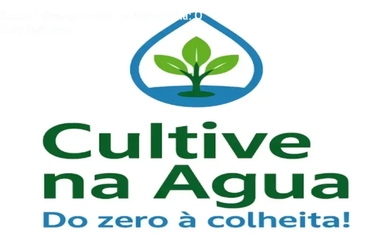 Bruno Palma – Cultive na Água comparado a concorrentes e alternativas de hidroponia