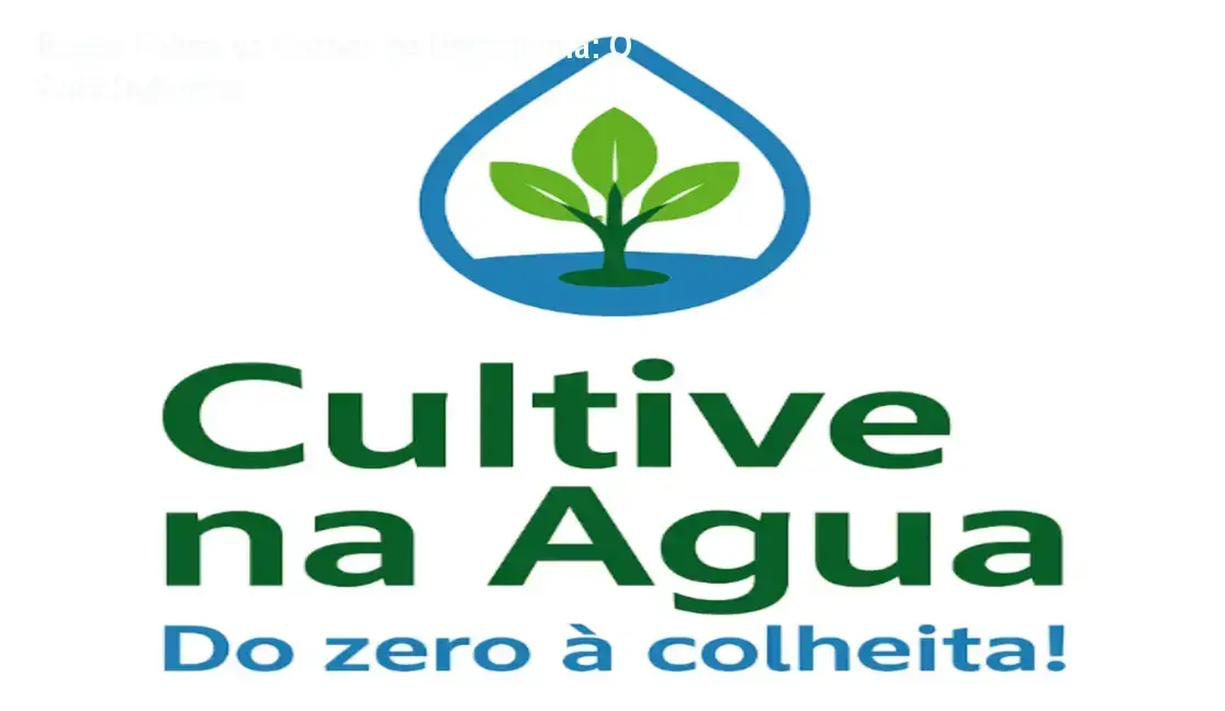 Bruno Palma – Cultive na Água comparado a concorrentes e alternativas de hidroponia