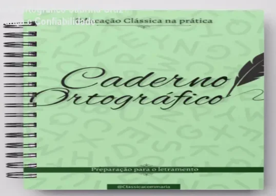 Caderno Ortográfico de Sabrina Cruz – reputação, segurança e fraude analisadas