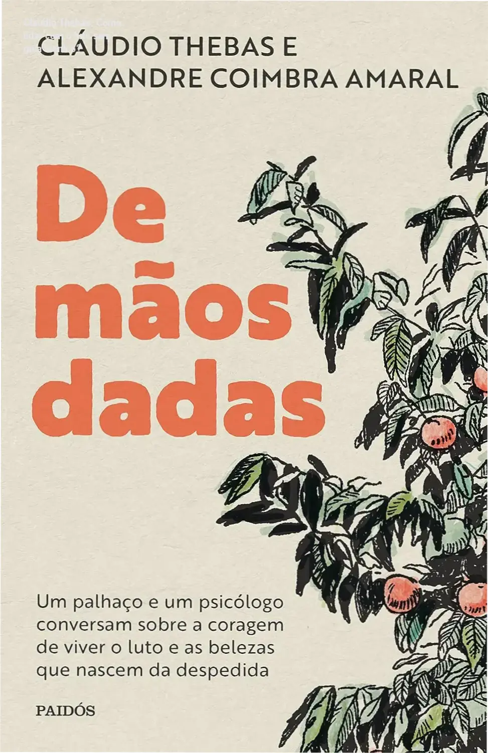 Capa do livro De mãos dadas de Claudio Thebas e Alexandre Coimbra Amaral sobre luto