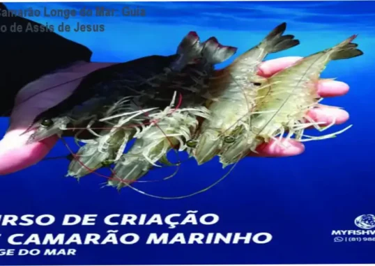 Esquema de um sistema de criação de camarão marinho em ambiente continental com monitoramento técnico