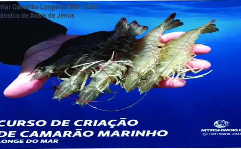 Esquema de um sistema de criação de camarão marinho em ambiente continental com monitoramento técnico
