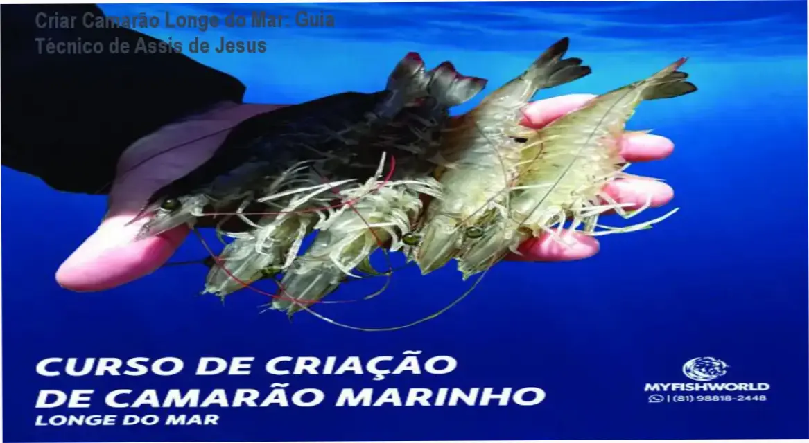 Esquema de um sistema de criação de camarão marinho em ambiente continental com monitoramento técnico