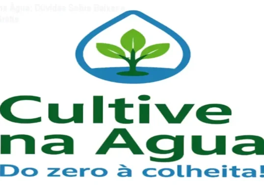 Universidade de Bruno Palma: Cultivo em Água com Técnicas Profissionais