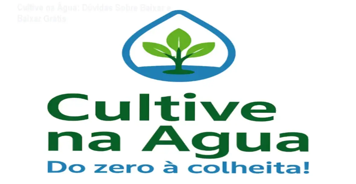 Universidade de Bruno Palma: Cultivo em Água com Técnicas Profissionais