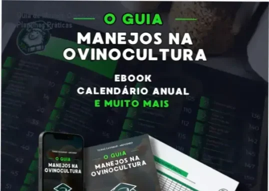 Guia prático de manejo ovino com planilhas preenchidas