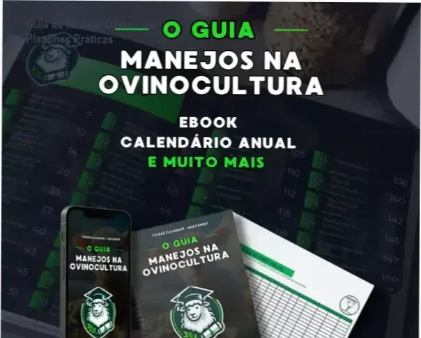 Guia prático de manejo ovino com planilhas preenchidas