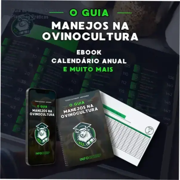 Guia prático de manejo ovino com planilhas preenchidas
