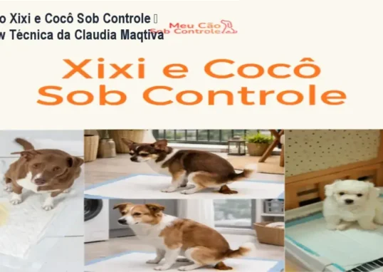 Método Xixi e Cocô Sob Controle de Claudia Maqtiva – bastidores, funcionamento interno e visão detalhada
