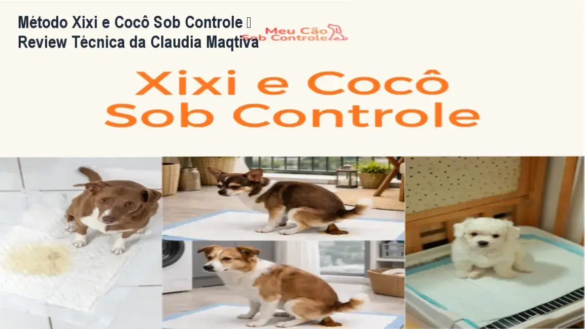 Método Xixi e Cocô Sob Controle de Claudia Maqtiva – bastidores, funcionamento interno e visão detalhada