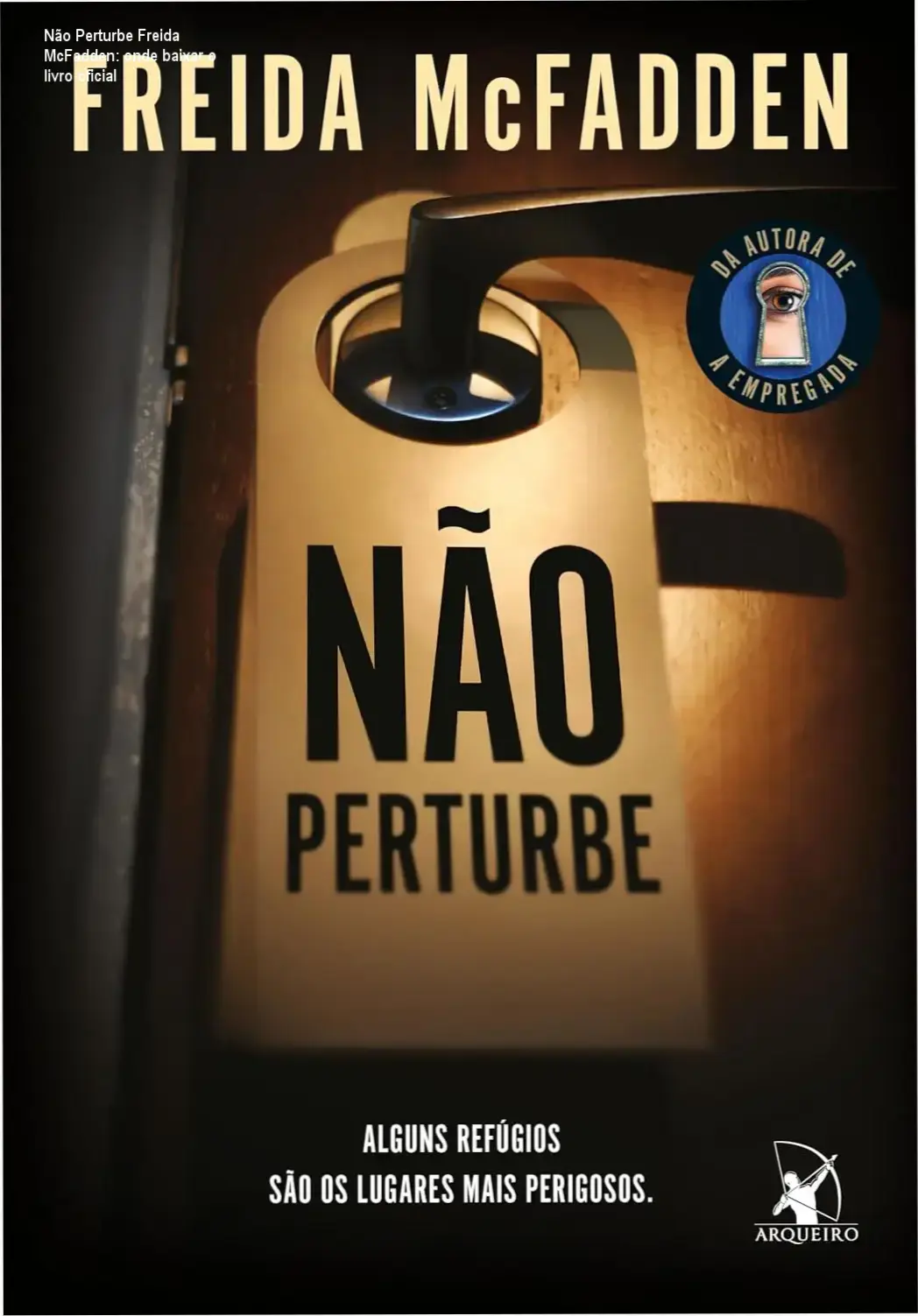 Capa do livro Não Perturbe de Freida McFadden em frente ao Hotel Baxter decadente