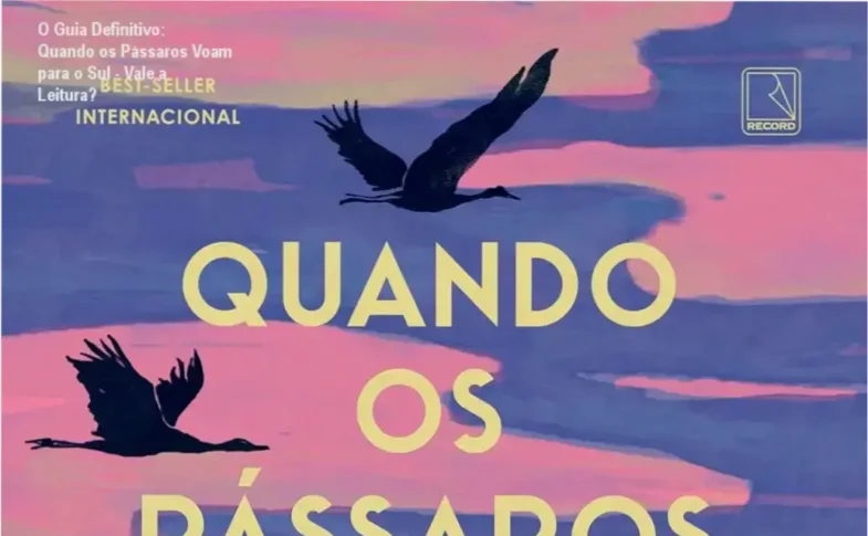 Capa do livro 'Quando os Pássaros Voam para o Sul' com design minimalista mostrando um pássaro voando contra neve noturna