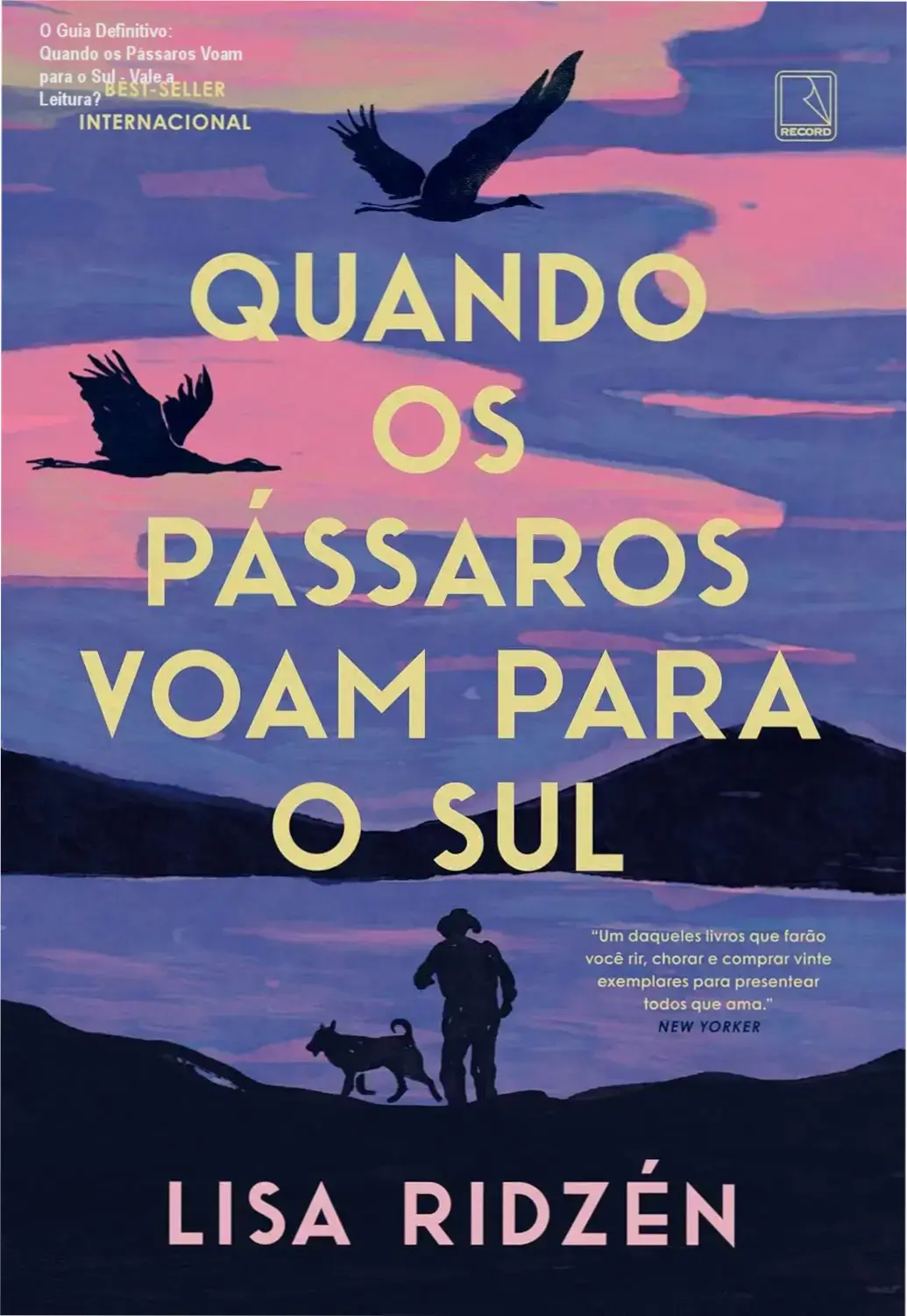 Capa do livro 'Quando os Pássaros Voam para o Sul' com design minimalista mostrando um pássaro voando contra neve noturna