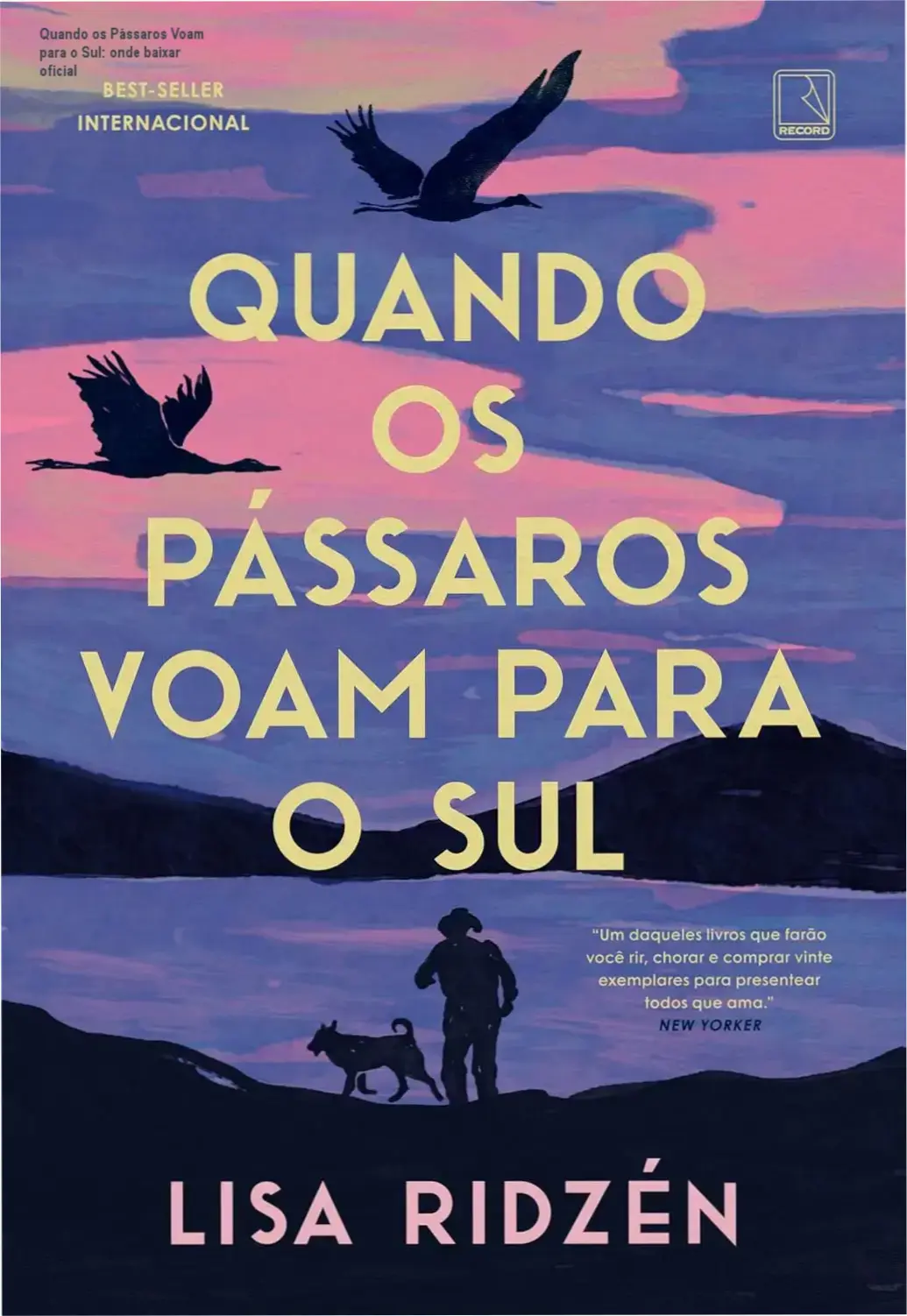 Capa do livro Quando os Pássaros Voam para o Sul sobre fundo com tema sueco