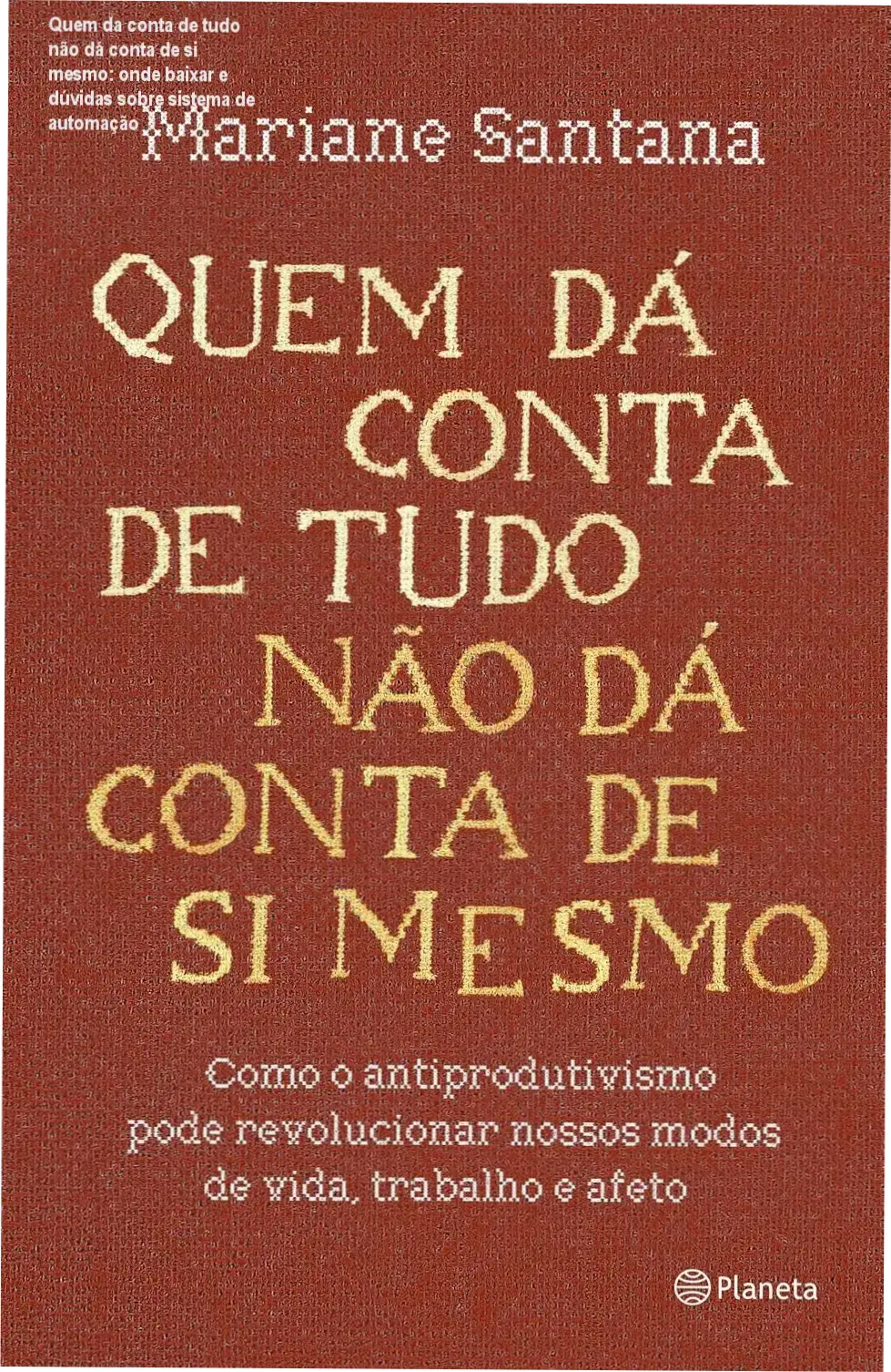 Sistema Quem da Conta de Tudo não dá conta de si Mesmo, interface profissional de automação de tarefas