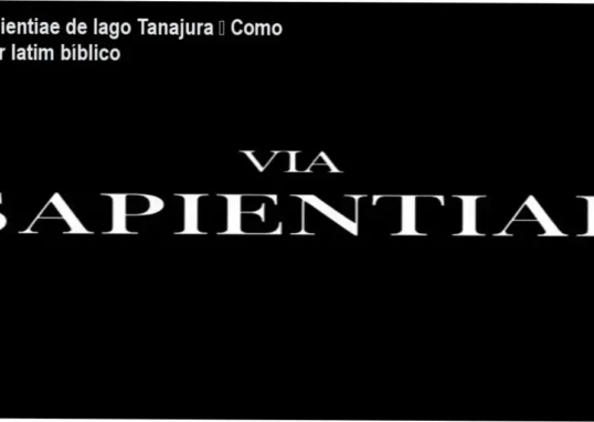 Iago Tanajura – Via Sapientiae cronograma de aulas e carga horária