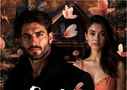Capa digital do romance O Viúvo da Cabana ao Lado em ebook Kindle, história entre vizinhos Novos